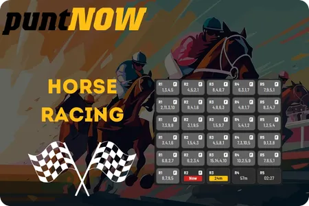 Thoroughbred harness and greyhound racing markets at PuntNow