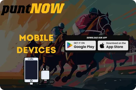 PuntNow mobile app interface on iOS and Android phones