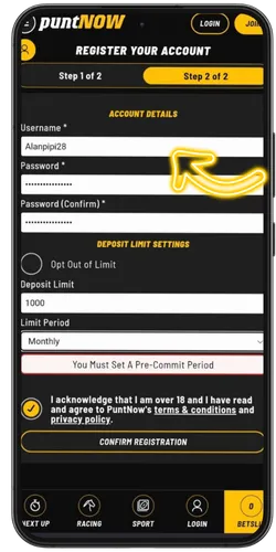 Setting username and password on the PuntNow registration form